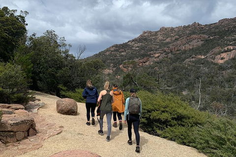 Wineglass Bay Explorer Active Day Trip From Launceston - Accommodation Mermaid Beach 15