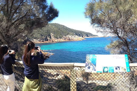Wineglass Bay Explorer Active Day Trip From Launceston - Accommodation Mermaid Beach 24