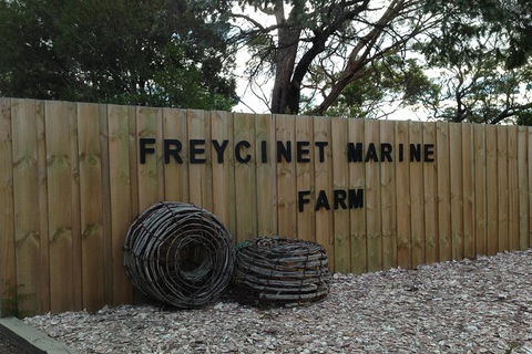 Wineglass Bay Explorer Active Day Trip From Launceston - Accommodation Mermaid Beach 5