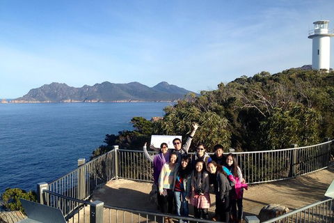Wineglass Bay Explorer Active Day Trip From Launceston - Accommodation Mermaid Beach 12