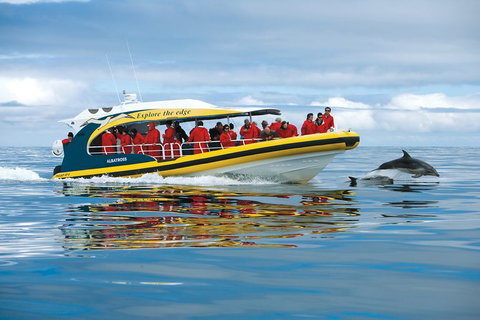 3-Hour Tasman Peninsula Wilderness Cruise From Port Arthur - Accommodation Mermaid Beach 5
