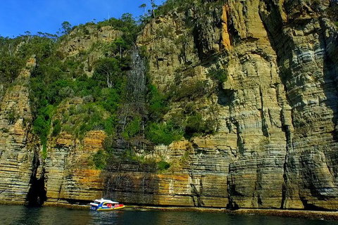3-Hour Tasman Peninsula Wilderness Cruise From Port Arthur - Accommodation Mermaid Beach 7