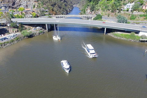Cataract Gorge Cruise 10:30 Am - Accommodation Mermaid Beach 5