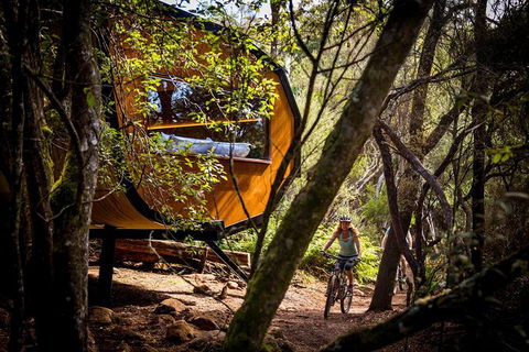 Blue Derby Pods Ride Experience 3-Day Mountain Bike Adventure In Exclusive Pods - Accommodation Mermaid Beach 0
