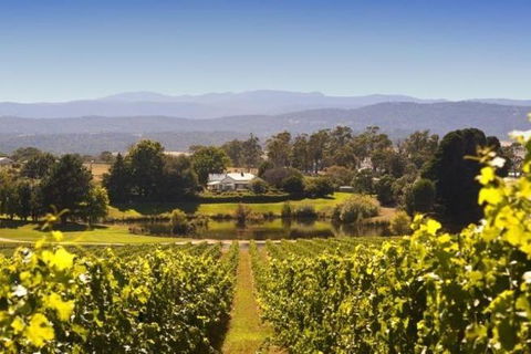 Josef Chromy Wines Winery Tour Including Tasting And Lunch - Accommodation Mermaid Beach 0