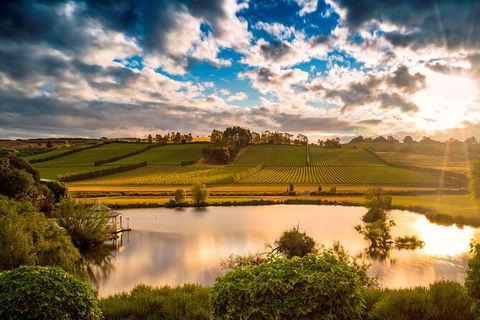 Josef Chromy Wines Winery Tour Including Tasting And Lunch - Accommodation Mermaid Beach 2