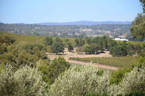 Barossa Valley Food And Wine Tour - Accommodation Mermaid Beach 2