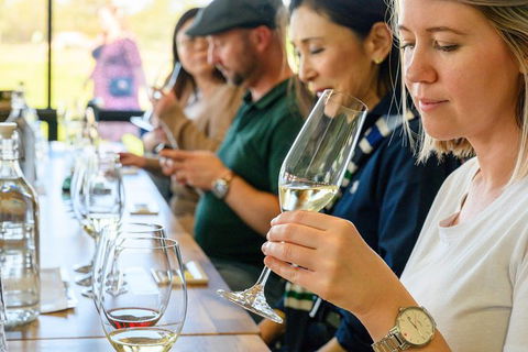 Barossa Valley Food And Wine Tour - Accommodation Mermaid Beach 11