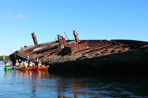 Adelaide Dolphin Sanctuary And Ships Graveyard Kayak Tour - Accommodation Mermaid Beach 1