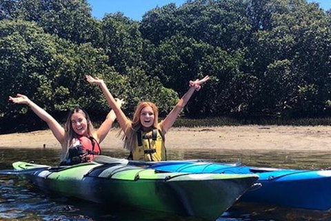 Adelaide Dolphin Sanctuary And Ships Graveyard Kayak Tour - Accommodation Mermaid Beach 4