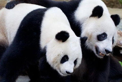 Adelaide City Tour With Optional River Cruise And Adelaide Zoo Admission - Accommodation Mermaid Beach 1