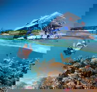 3-Day Southern Great Barrier Reef Tour Including Lady Musgrave Island - Accommodation Mermaid Beach