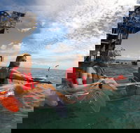 Moreton Island Day Trip Kayak Snorkel  Sandboard frm Brisbane or Gold Coast - Accommodation Mermaid Beach