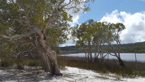 North Stradbroke Island Day Trip From Brisbane - Accommodation Mermaid Beach 14