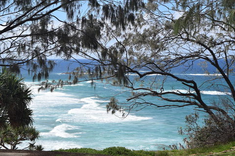 North Stradbroke Island Day Trip From Brisbane - Accommodation Mermaid Beach 12