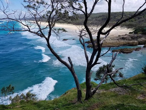 North Stradbroke Island Day Trip From Brisbane - Accommodation Mermaid Beach 5