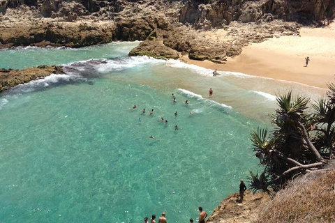 North Stradbroke Island Day Trip From Brisbane - Accommodation Mermaid Beach 1