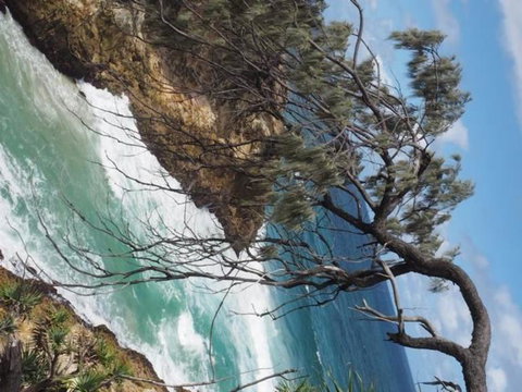 North Stradbroke Island Day Trip From Brisbane - Accommodation Mermaid Beach 16