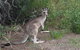 North Stradbroke Island Day Trip From Brisbane - thumb 13