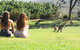 North Stradbroke Island Day Trip From Brisbane - thumb 28
