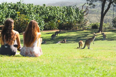 North Stradbroke Island Day Trip From Brisbane - Accommodation Mermaid Beach 28