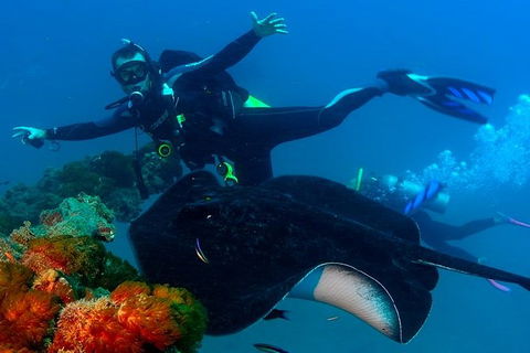 Scuba Dive The S.S. Yongala Wreck On The Great Barrier Reef. - Accommodation Mermaid Beach 1