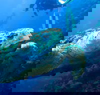 Scuba Dive the S.S. Yongala Wreck on the Great Barrier Reef. - Accommodation Mermaid Beach