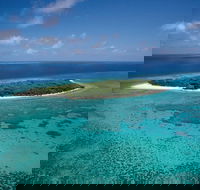 5-Day Fraser Island and Great Barrier Reef Tour - Accommodation Mermaid Beach