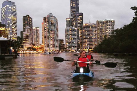 Brisbane River Guided Evening Tour By Kayak - Our Most Popular Tour - Accommodation Mermaid Beach 0