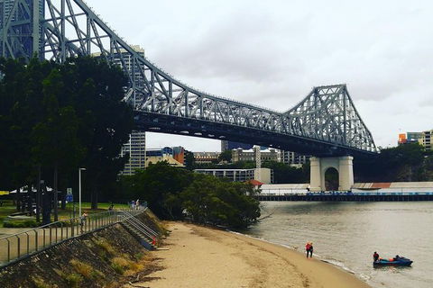Brisbane River Guided Evening Tour By Kayak - Our Most Popular Tour - Accommodation Mermaid Beach 6