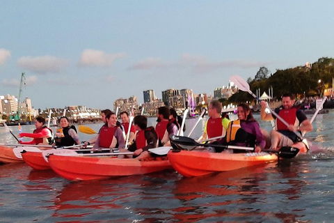 Brisbane River Guided Evening Tour By Kayak - Our Most Popular Tour - Accommodation Mermaid Beach 4