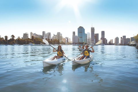 Brisbane Kayak Tour - Accommodation Mermaid Beach 4