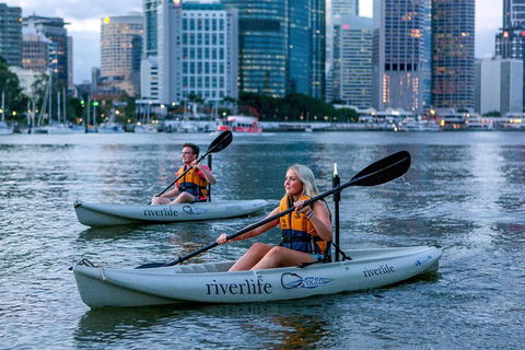 Brisbane Kayak Tour - Accommodation Mermaid Beach 3