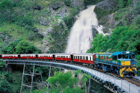 Small-Group Kuranda Village, Skyrail Cableway And Scenic Railway Day Trip From Port Douglas - Accommodation Mermaid Beach 1