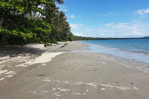 Airport Transfers Between Cairns Airport And Port Douglas - Accommodation Mermaid Beach 4