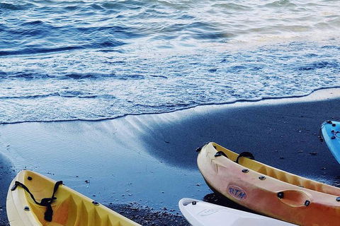 Brisbane Guided Kayaking Tour On Tingalpa Creek - Accommodation Mermaid Beach 0