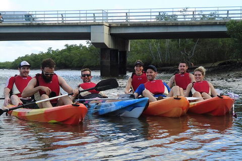 Brisbane Guided Kayaking Tour On Tingalpa Creek - Accommodation Mermaid Beach 3