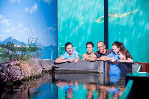 Reef HQ Great Barrier Reef Aquarium General Entry Ticket - Accommodation Mermaid Beach 0
