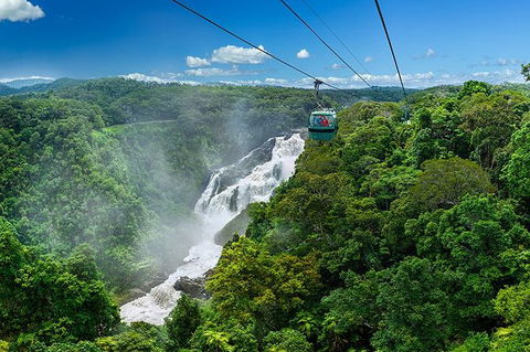 Skyrail Rainforest Cableway Day Trip From Port Douglas - Accommodation Mermaid Beach 2