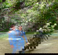 Mossman River Drift Snorkelling from Port Douglas or Mossman - Accommodation Mermaid Beach