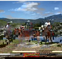 Blazing Saddles Horse Riding - Accommodation Mermaid Beach