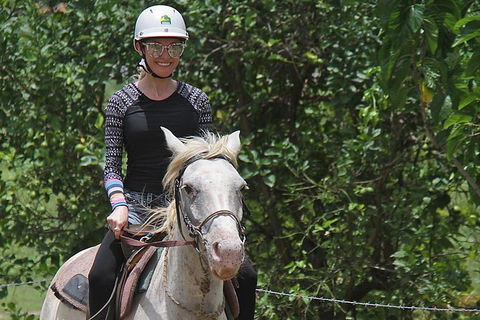 Blazing Saddles Horse Riding - Accommodation Mermaid Beach 9
