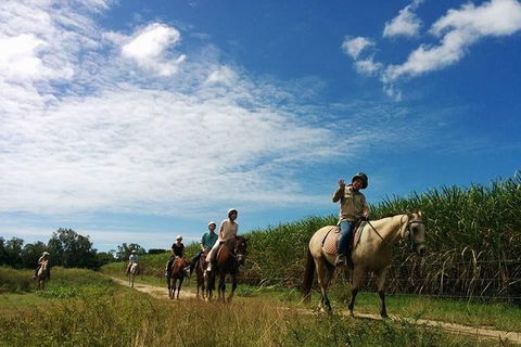 Blazing Saddles Horse Riding - Accommodation Mermaid Beach 4