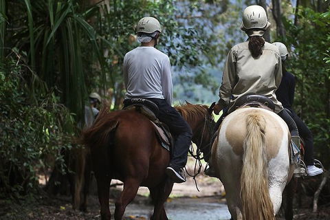 Blazing Saddles Horse Riding - Accommodation Mermaid Beach 2