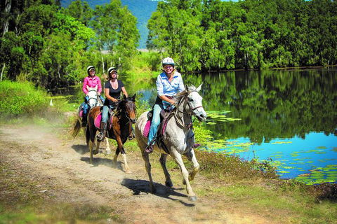 Blazing Saddles Horse Riding - Accommodation Mermaid Beach 8