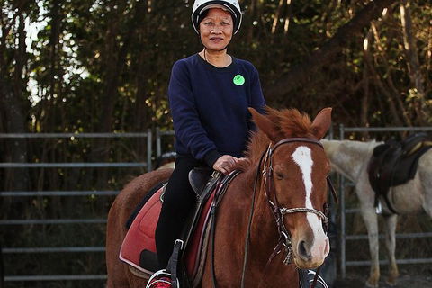 Blazing Saddles Horse Riding - Accommodation Mermaid Beach 5