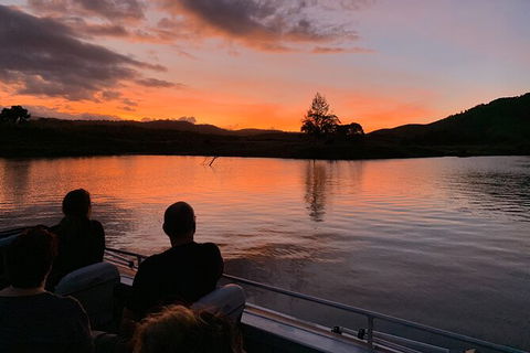 Daintree River Dawn Cruise - Accommodation Mermaid Beach 8