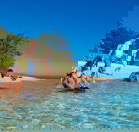 Half Day Low Isles Snorkelling Tour from Port Douglas - Accommodation Mermaid Beach