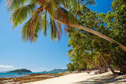 Private Daintree Wanderer Tour - Accommodation Mermaid Beach 4