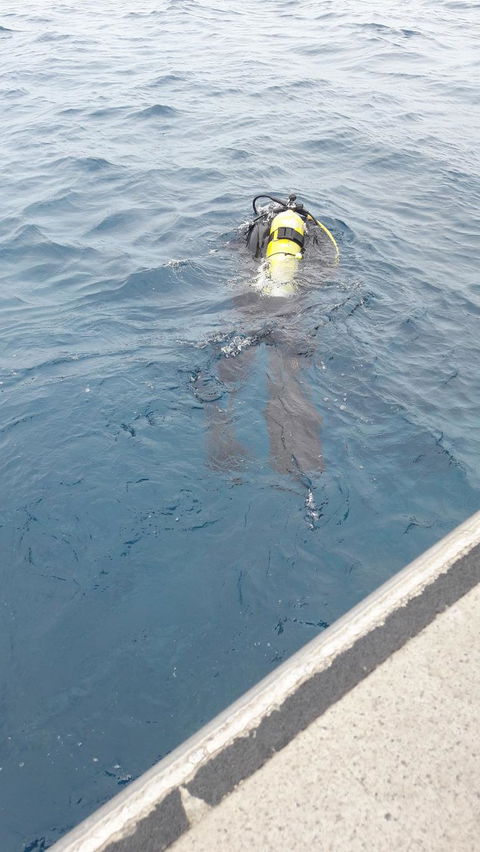 Great Barrier Reef Cruise From Townsville Or Magnetic Island - Accommodation Mermaid Beach 4